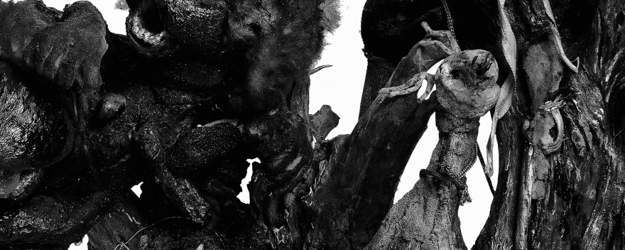 131333-198_B(MAIO_2016_IM)_graya