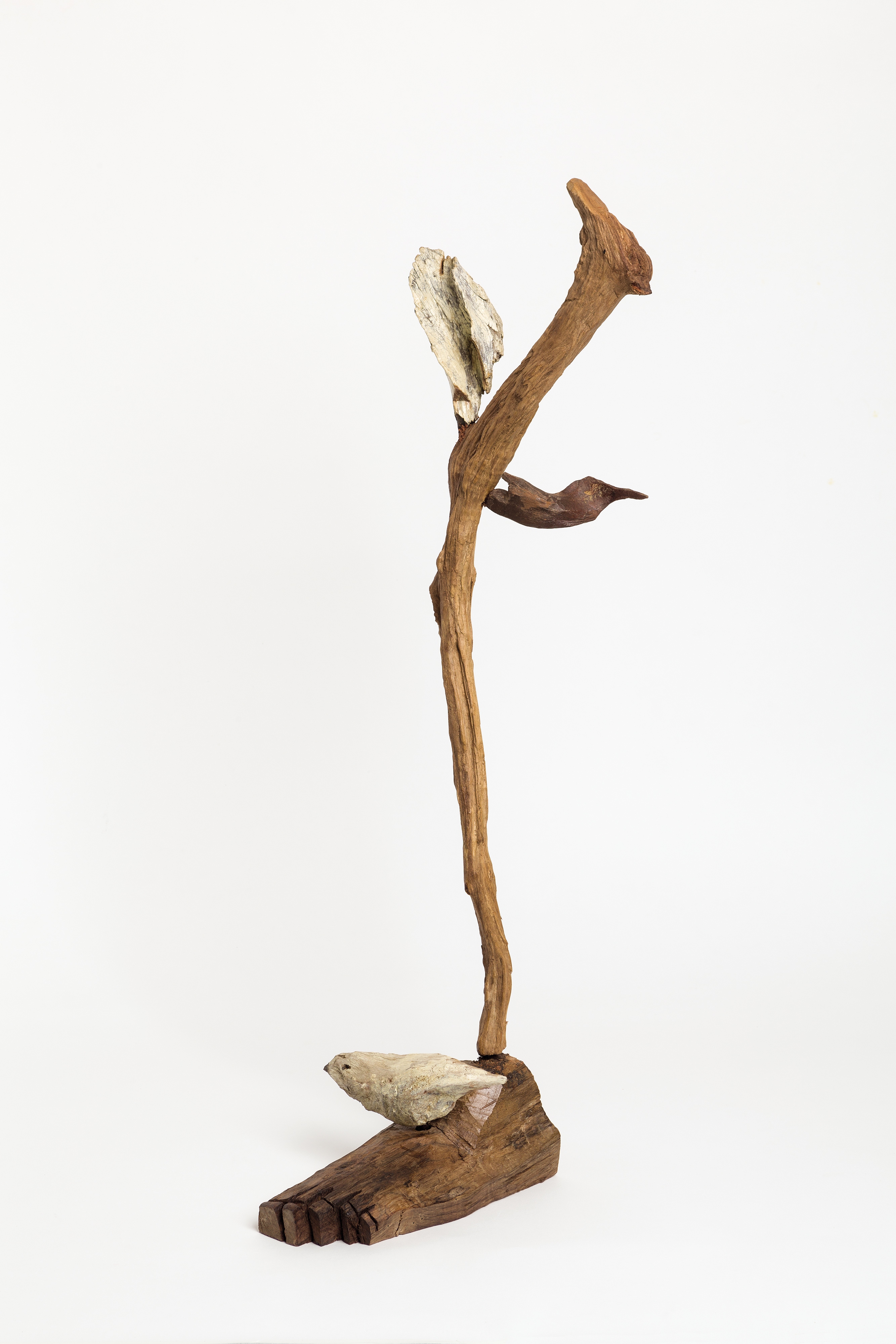 131333-409_B(MAIO_2016_IM)_site