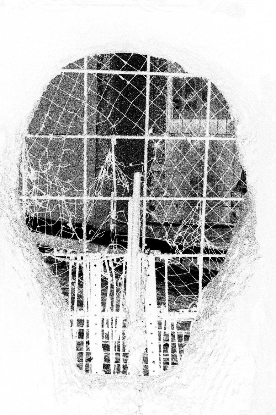 131333-Jayme_Sacofago_2013_site