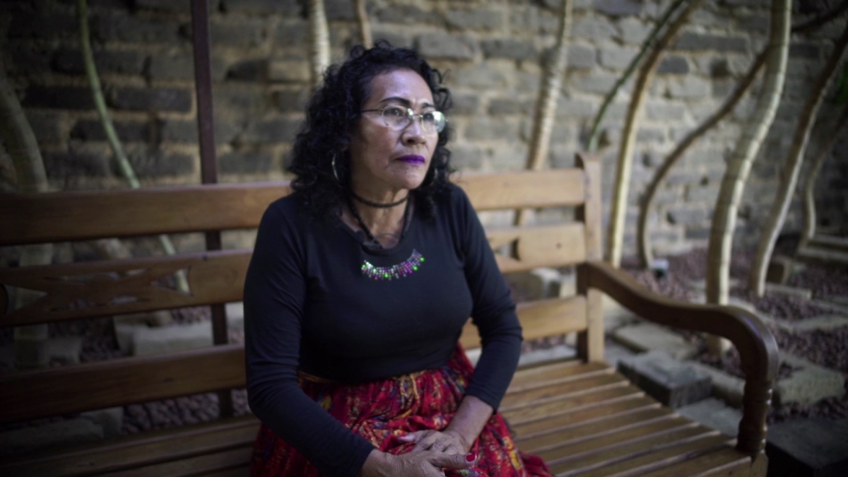 Carmézia | Artistas | Bienal Naïfs do Brasil 2016