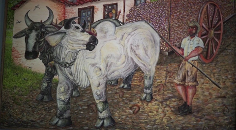 Na Beira da Cor | Webdoc | Bienal Naïfs do Brasil 2016